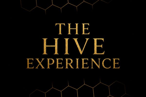 The Hive Experience